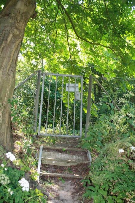 De Bosrand Grenzend Aan Het Bos Villa Castricum Exterior foto